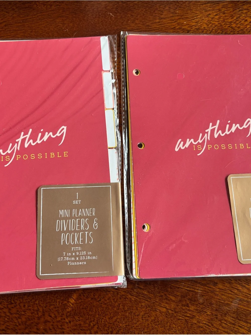 Pink Mini Planner Dividers & Pockets - Set of 2